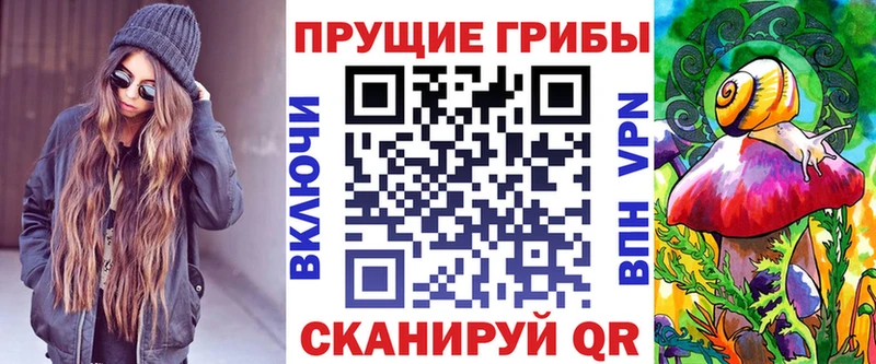 omg зеркало  где купить   Северобайкальск  Псилоцибиновые грибы Magic Shrooms 